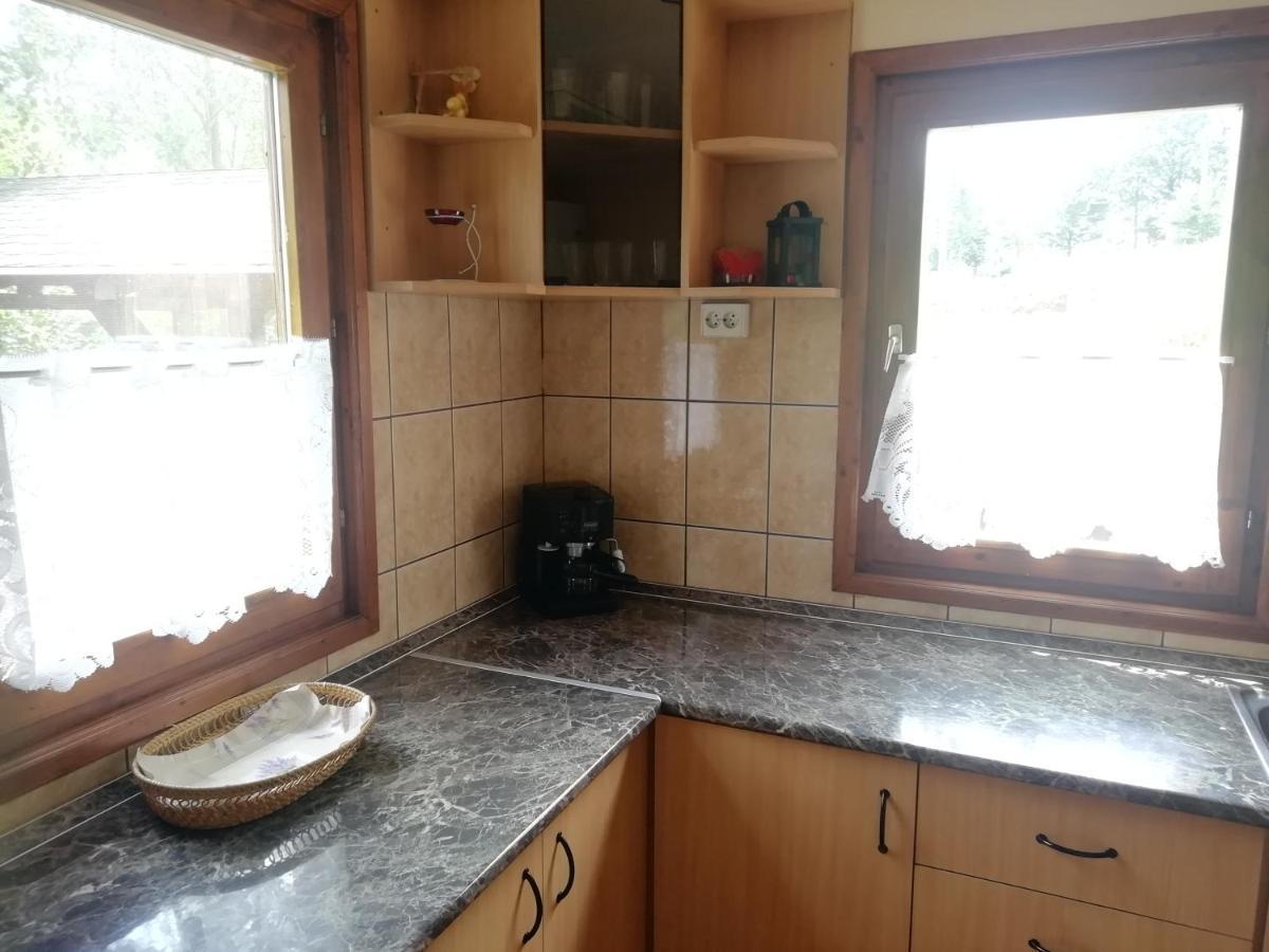 Demeny Vendeghaz Βίλα Sub Cetate Εξωτερικό φωτογραφία